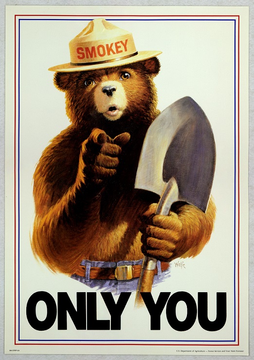 Uncle_Sam_style_Smokey_Bear_Only_You